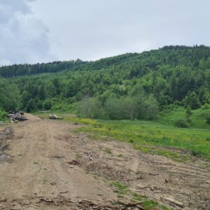 Teren extravilan