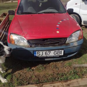 Autoutilitara Ford Courier