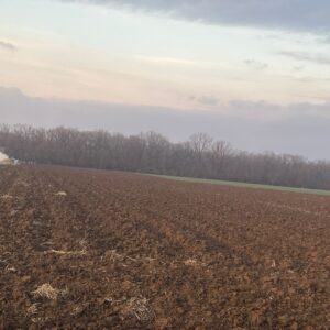Teren arabil in suprafata de 11.700,00 mp situat sat Moara Vlasiei, com. Moara Vlasiei, jud. Ifov